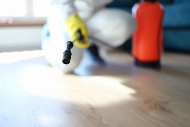 Best Asbestos and Lead Testing During Mold Inspection  in Bozeman, MT